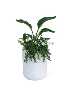 Arden Round Planter -Green Haven Shop 8613267 0115