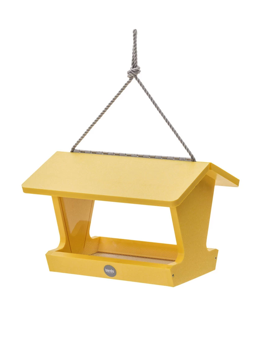 Color Pop Hopper Bird Feeder 1 Color Pop Hopper Bird Feeder