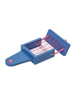 Color Pop Suet Feeder With Tail Prop From Recycled Plastic 8 Color Pop Suet Feeder With Tail Prop From Recycled Plastic -Green Haven Shop 8613787 01v