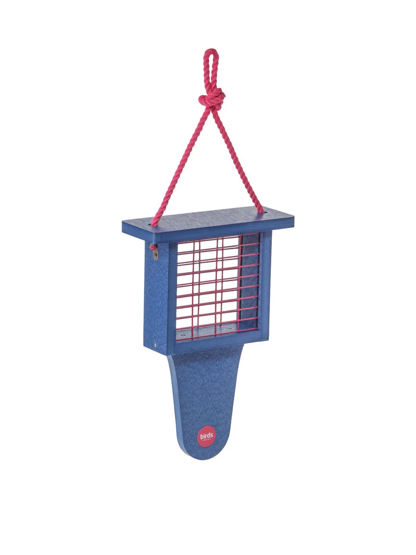Color Pop Suet Feeder With Tail Prop From Recycled Plastic 2 Color Pop Suet Feeder With Tail Prop From Recycled Plastic - Image 2