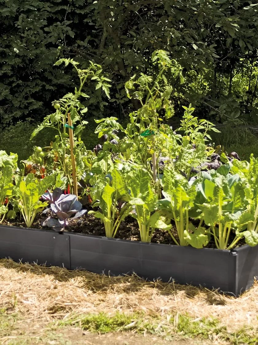 Grow Bed Extension Kit 2 Grow Bed Extension Kit - Image 2